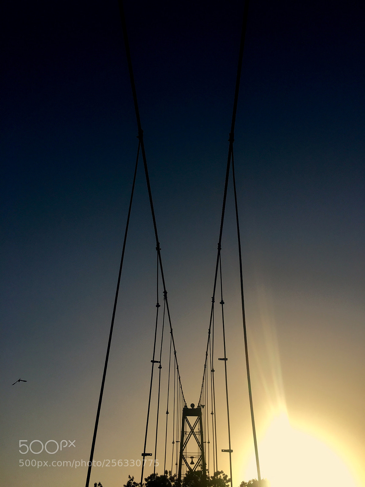 Apple iPhone 6s sample photo. Hanging bridge photography