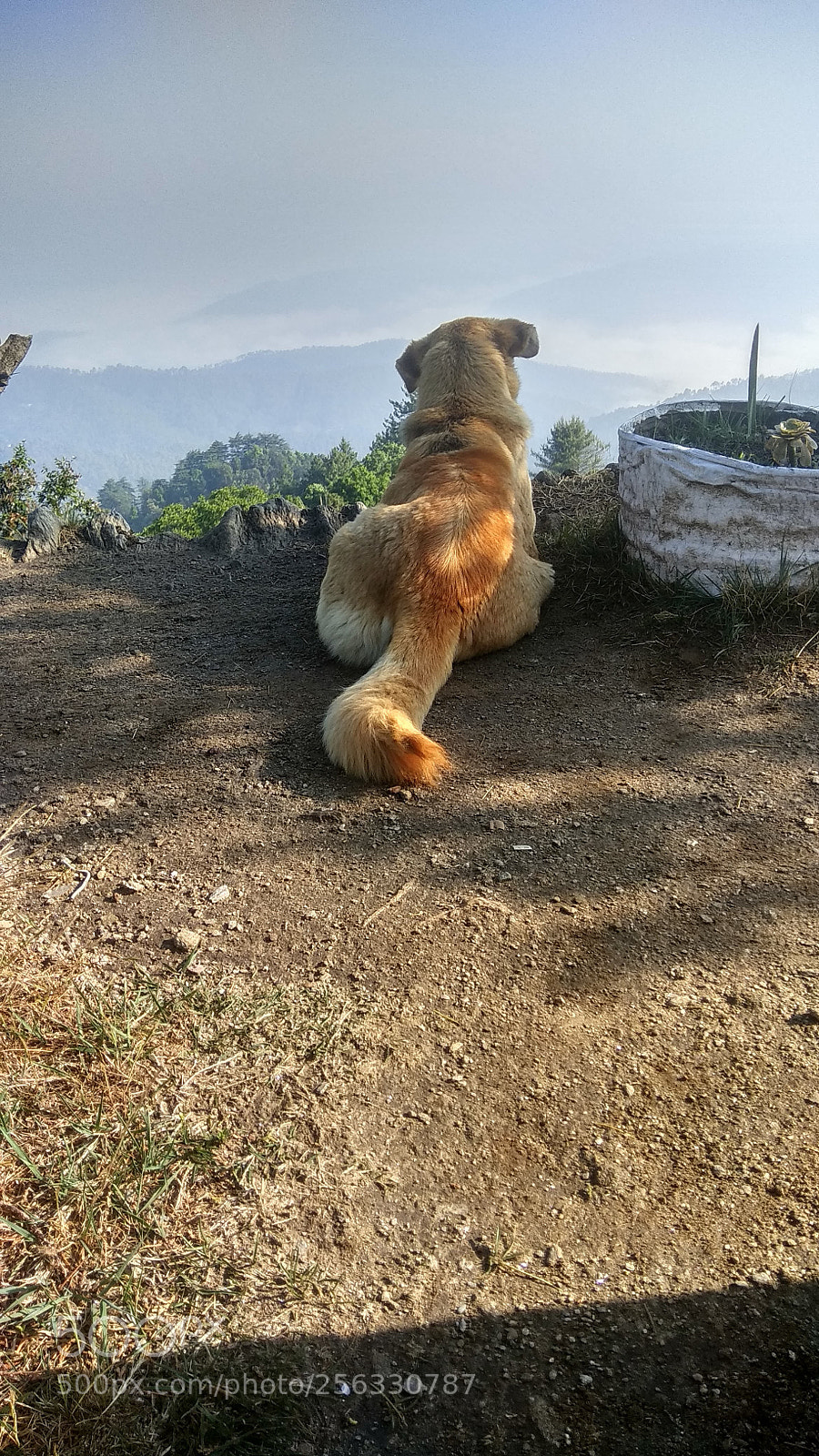 Xiaomi Redmi Note 4 sample photo. Untitled photography