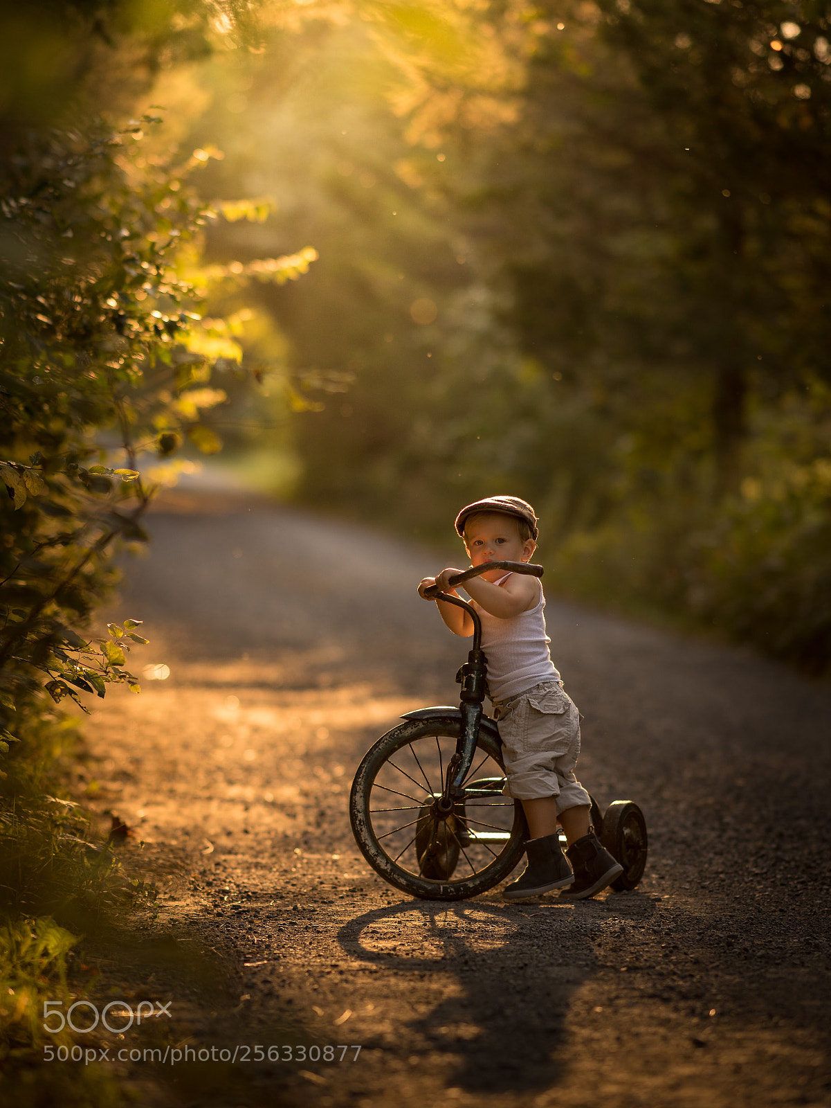 Sony a7 sample photo. My old bike on photography