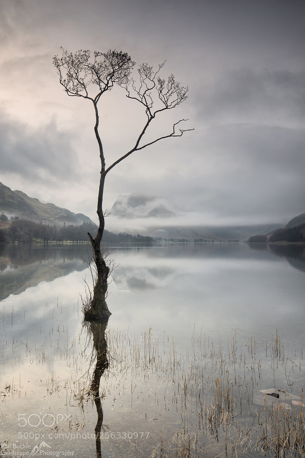 Canon EOS 6D sample photo. Lone tree dawn photography