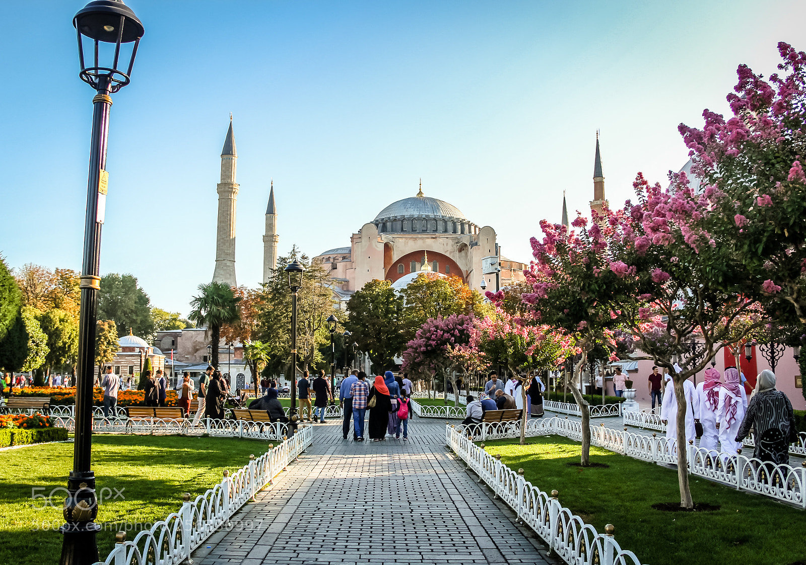Canon EOS 60D sample photo. Aya sofia photography