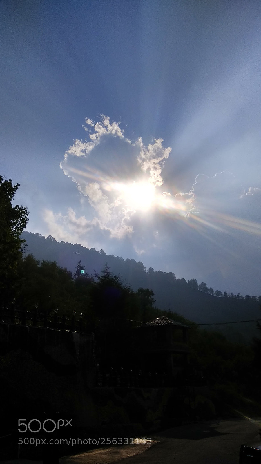 Xiaomi Redmi Note 4 sample photo. Untitled photography
