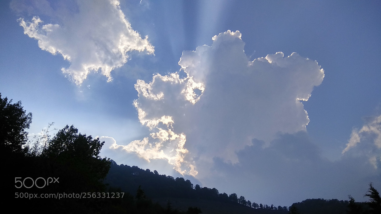Xiaomi Redmi Note 4 sample photo. Untitled photography