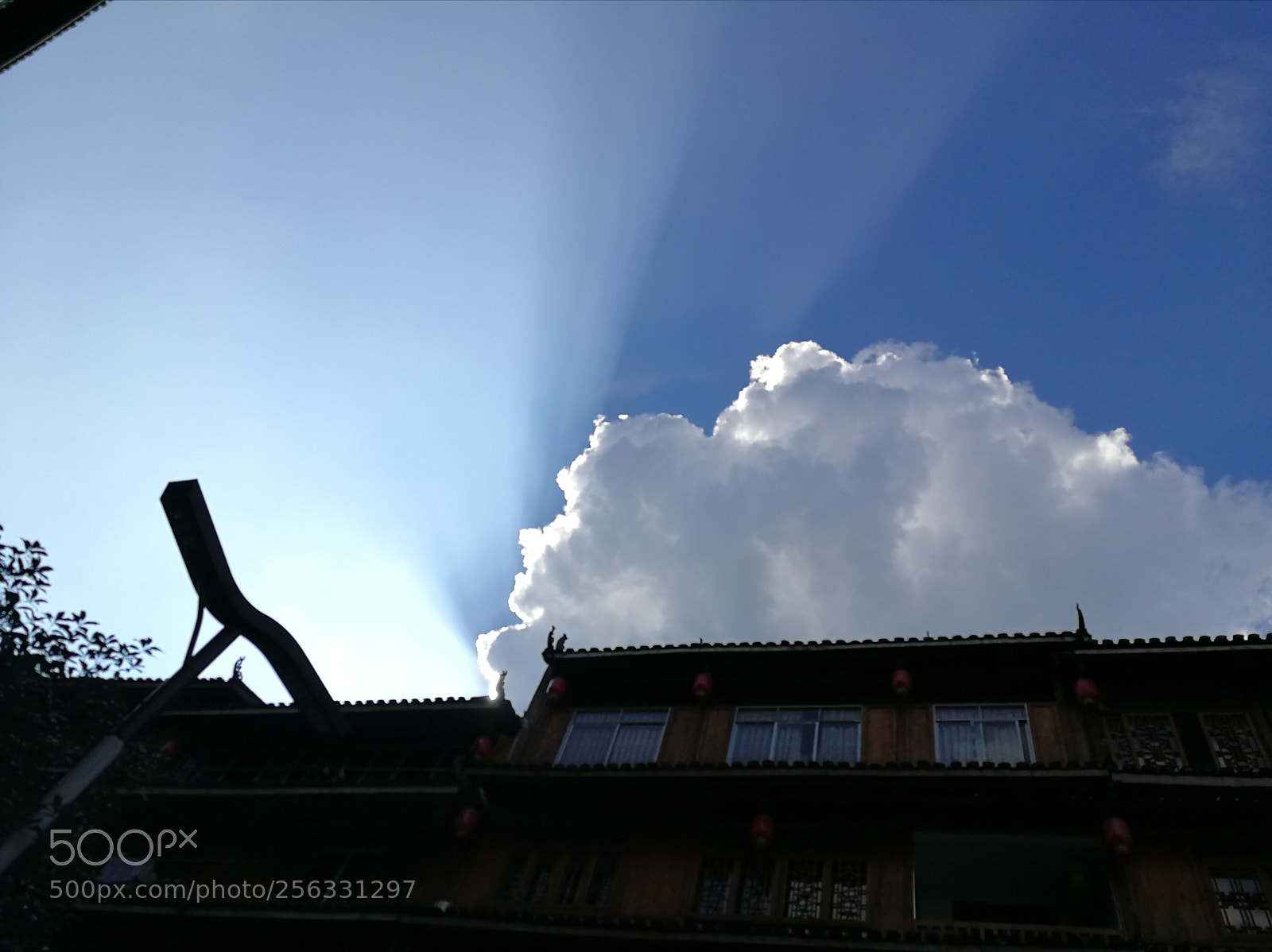 HUAWEI P10 sample photo. Untitled photography