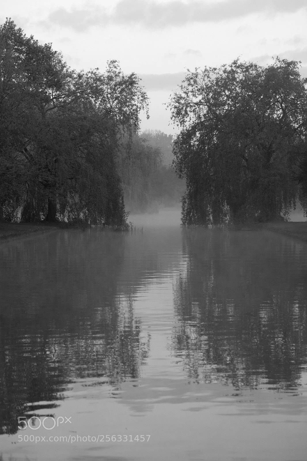 Canon EOS 5D Mark II sample photo. Reflections photography