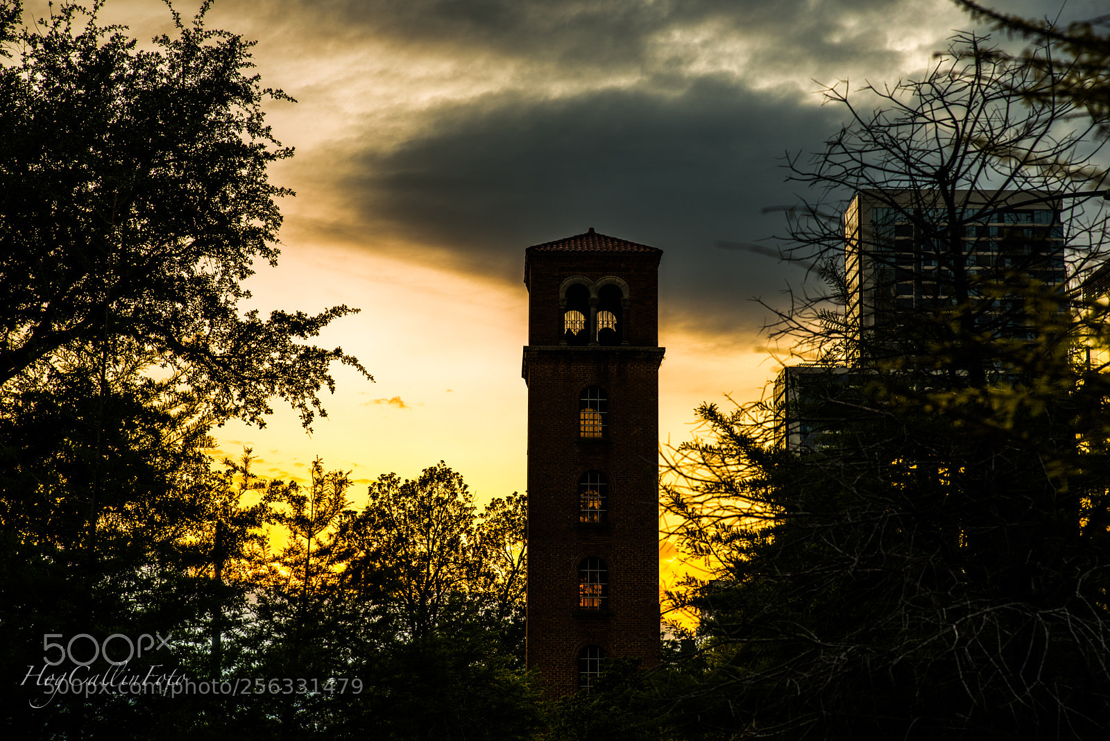 Nikon D750 sample photo. Atx original fire tower photography
