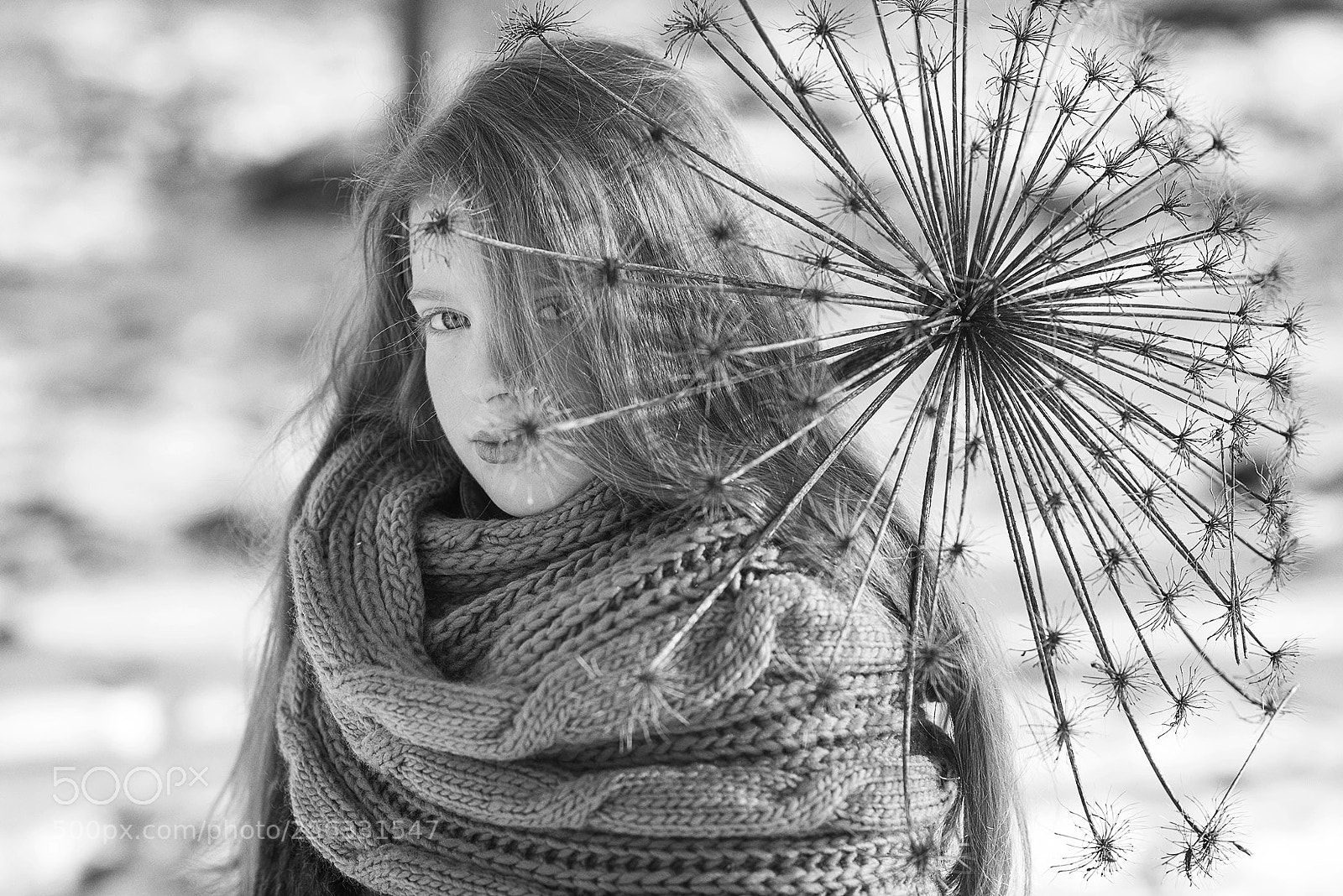Nikon D750 sample photo. Winter mood photography