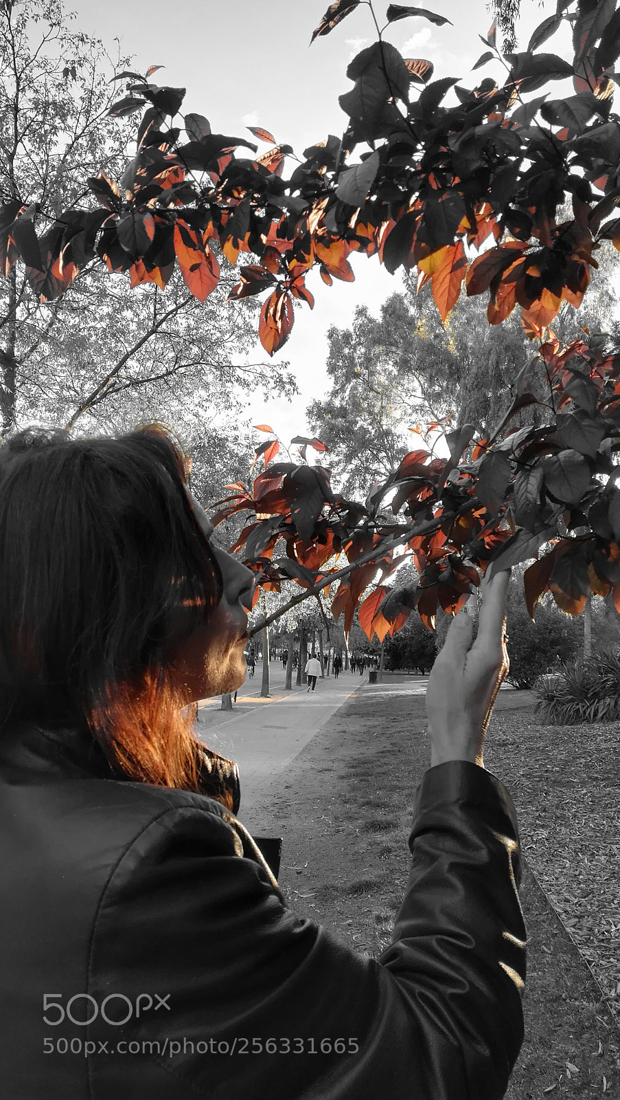 HUAWEI PRA-LX1 sample photo. Luz de la tarde photography
