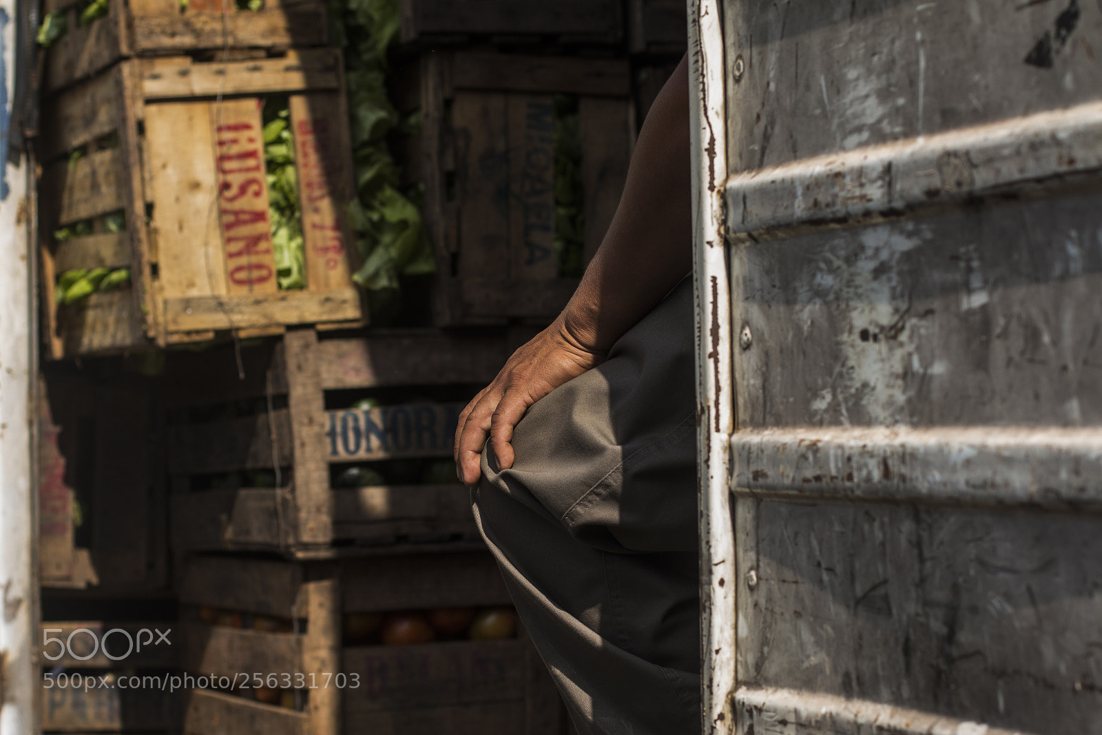 Canon EOS 70D sample photo. Verdurazo photography