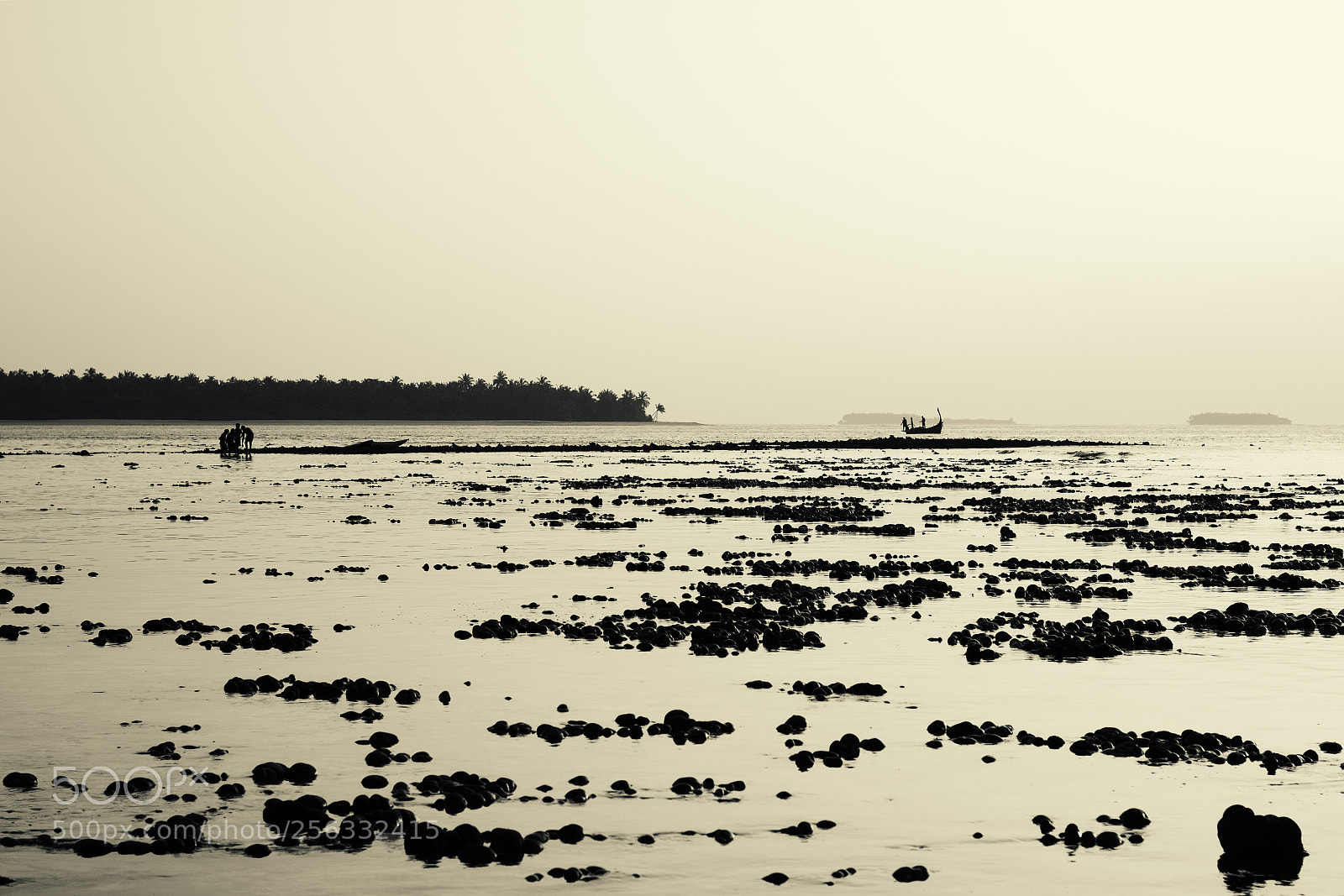 Nikon D3100 sample photo. Eydhafushi coast photography