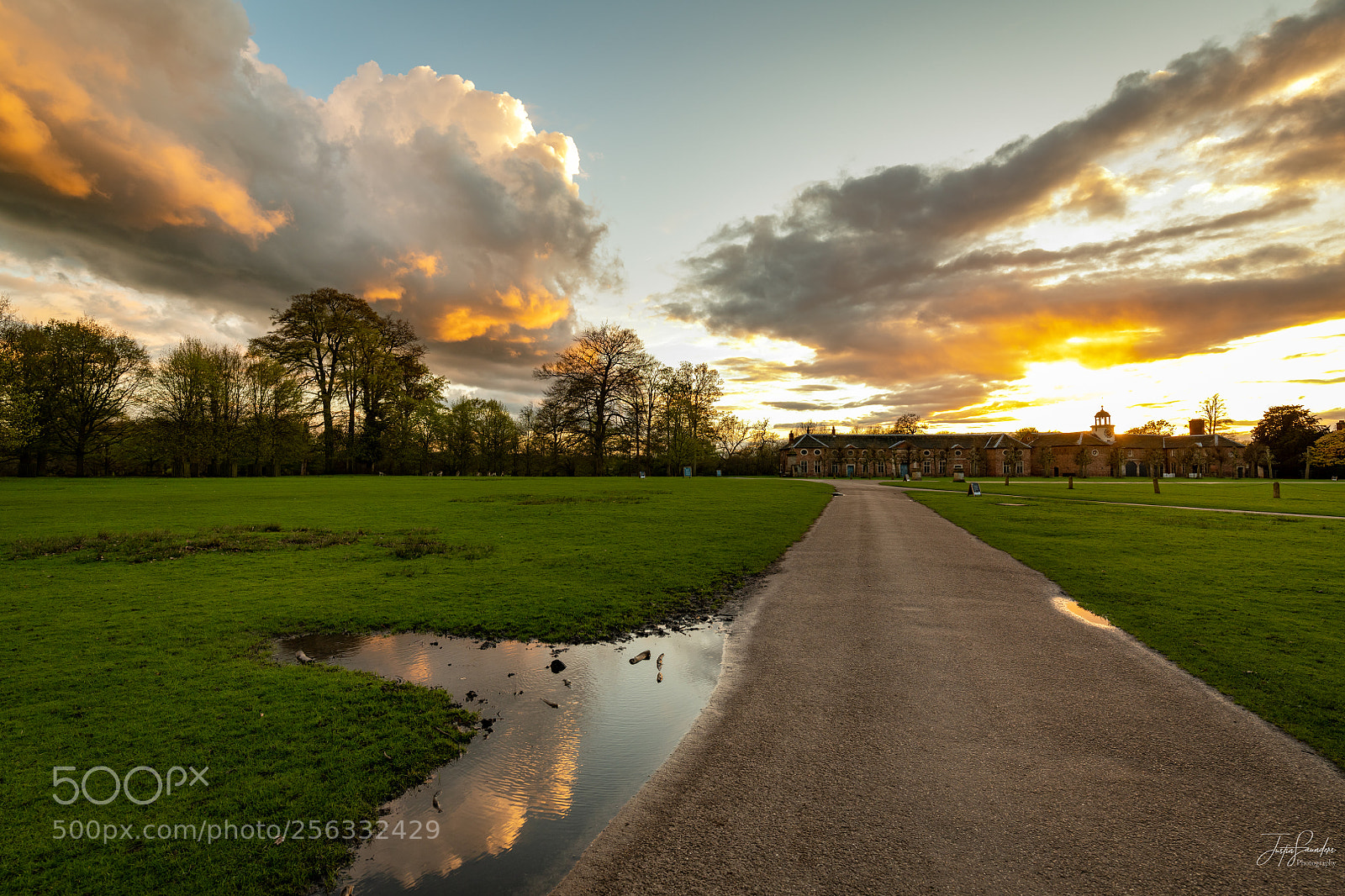 Nikon D850 sample photo. Stroll after work photography