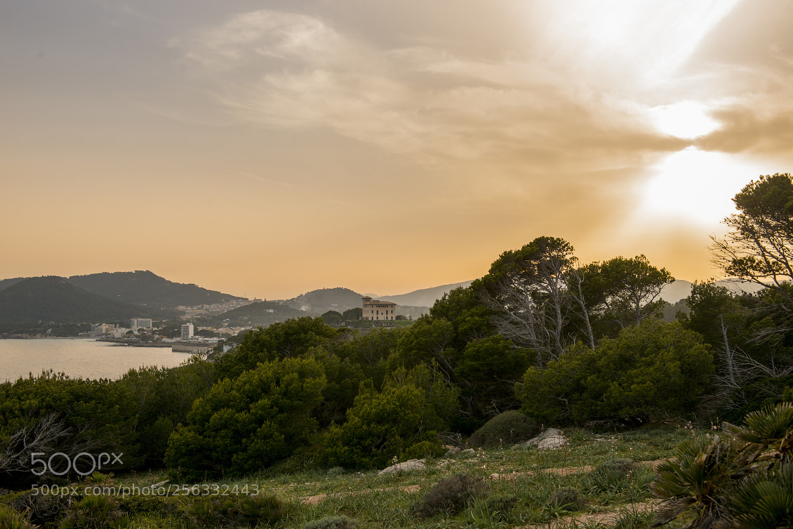 Nikon D800 sample photo. Beautiful sunset photography