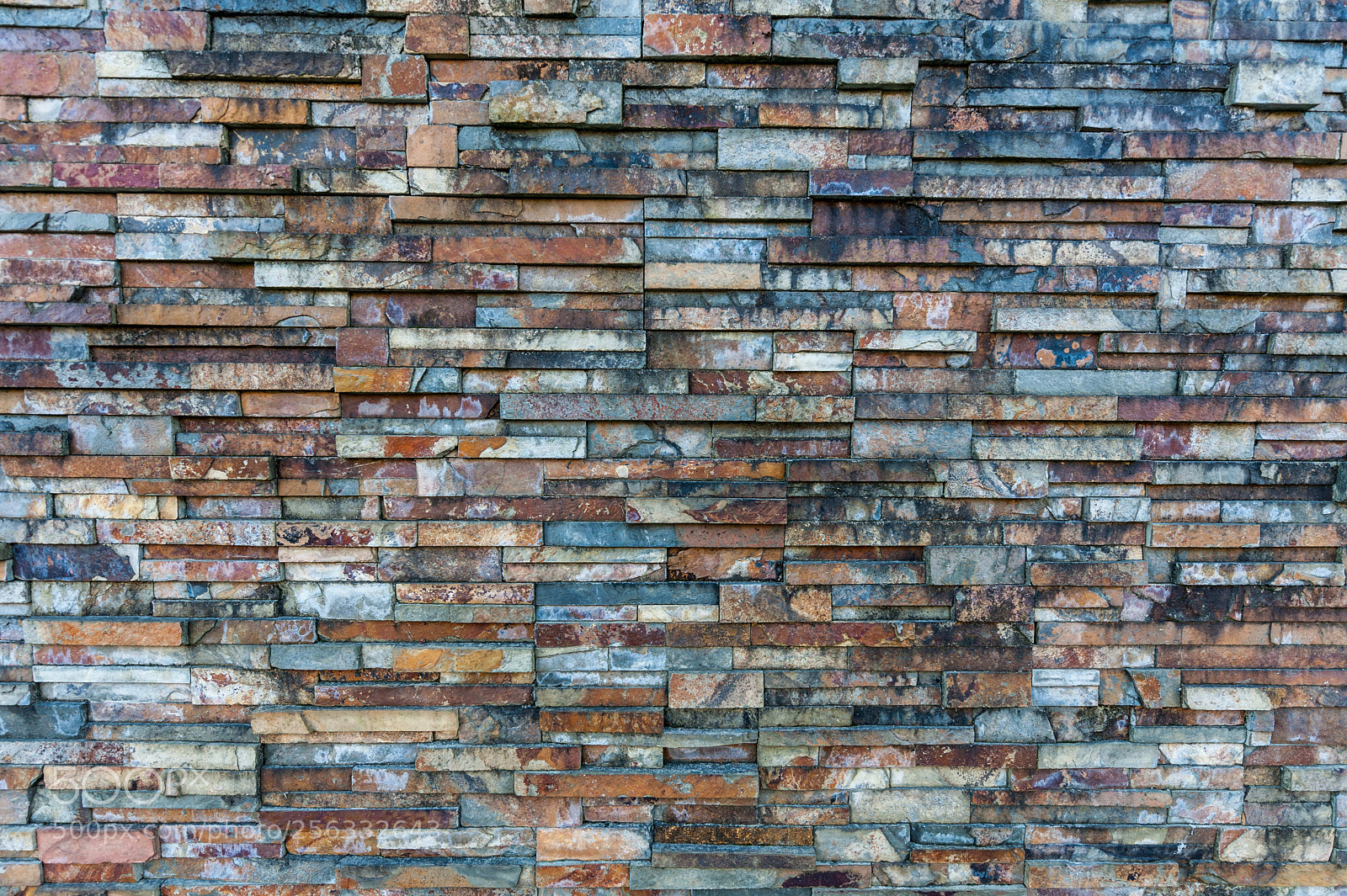 Nikon D700 sample photo. () photography
