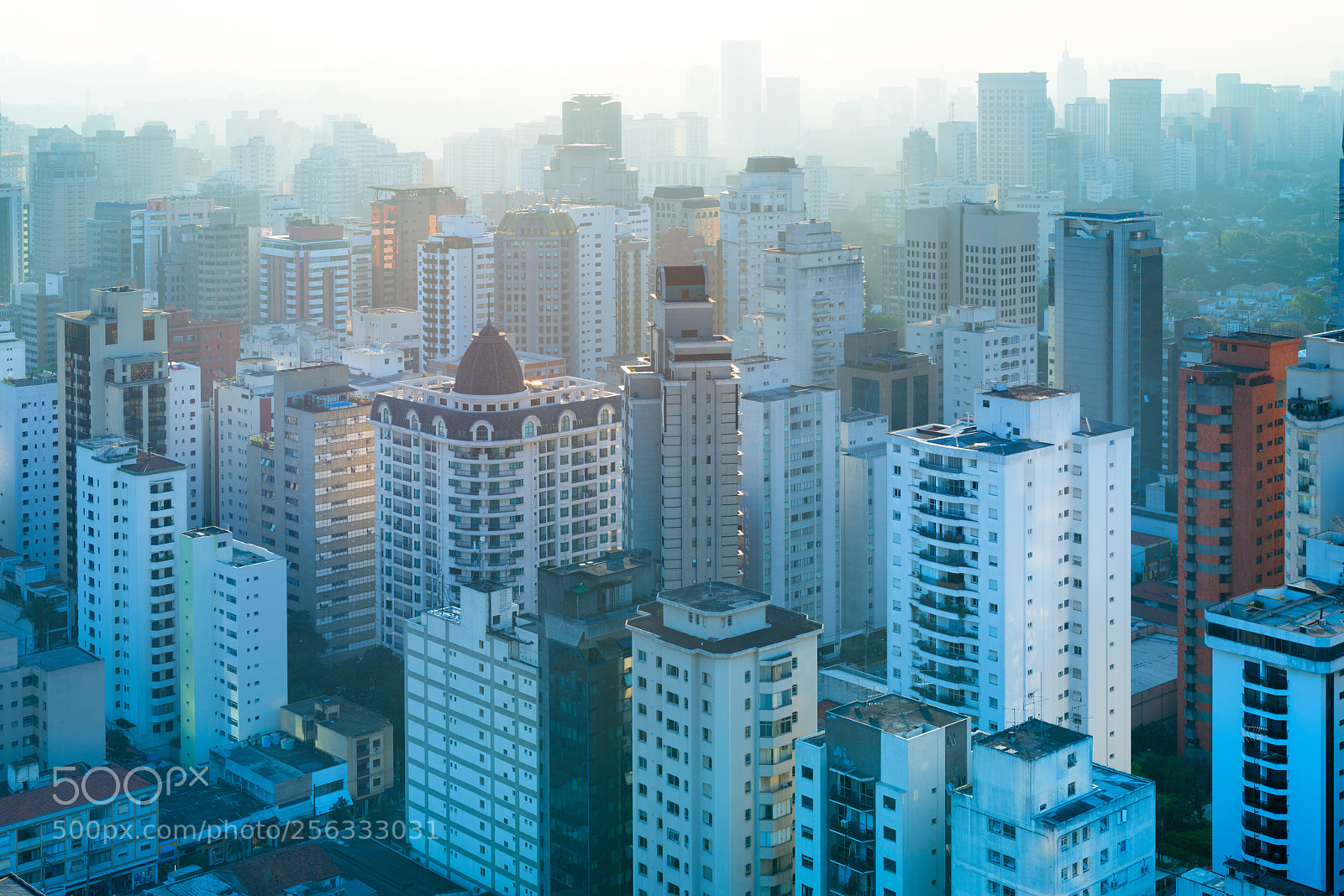Nikon D800 sample photo. Panoramic view residential buildings photography