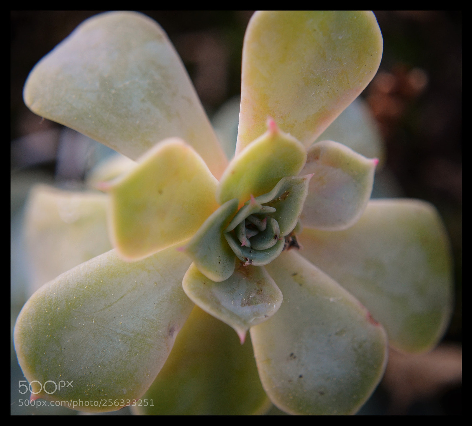 Nikon D5100 sample photo. Shape pt. 1 photography