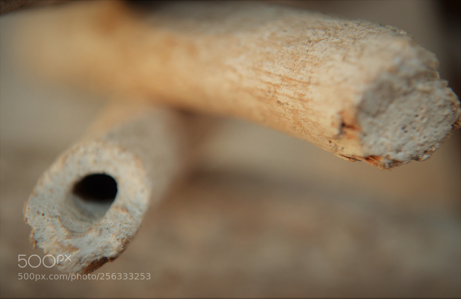 Nikon D5100 sample photo. Connection pt. 2 photography