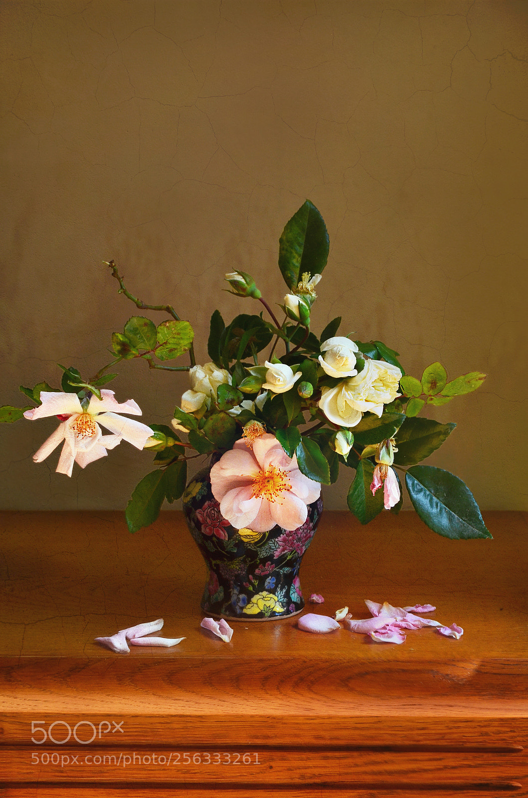 Nikon D5100 sample photo. Simple roses photography