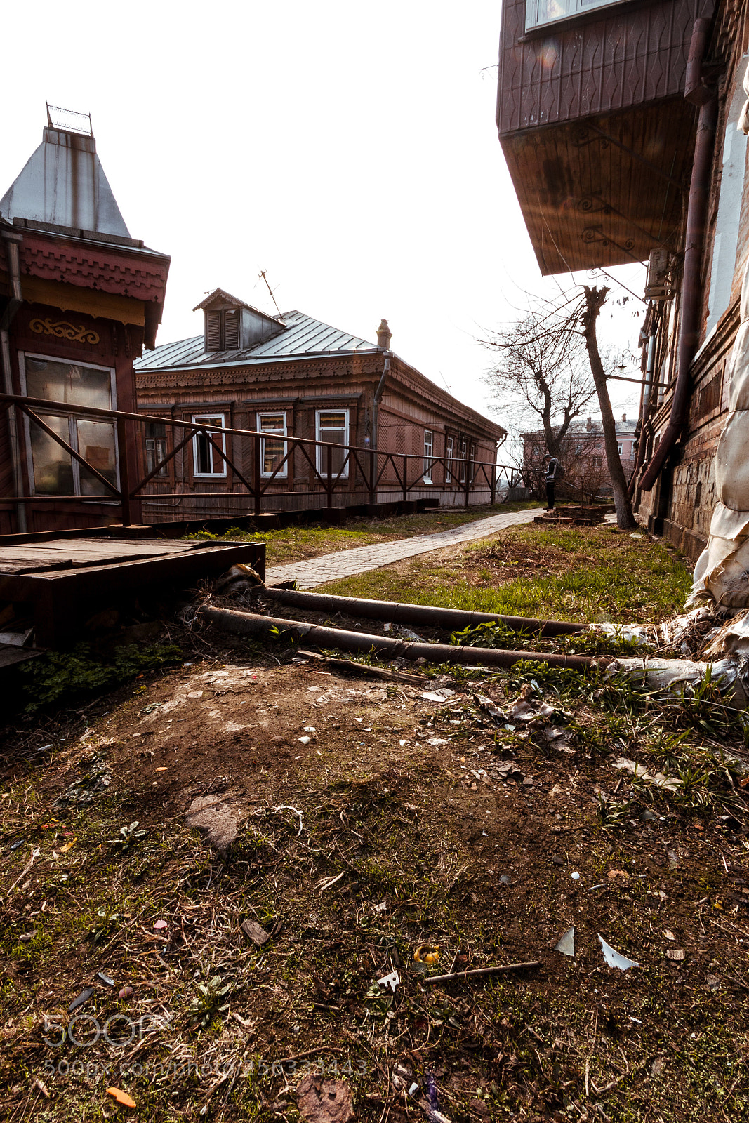 Canon EOS 70D sample photo. Just the yard photography