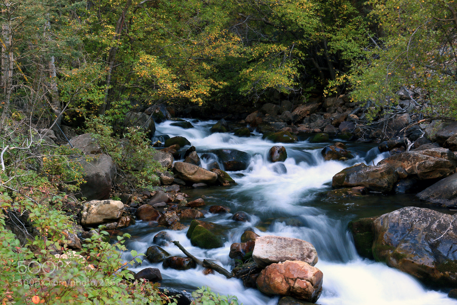 Canon EOS 70D sample photo. Big cottonwood creek photography