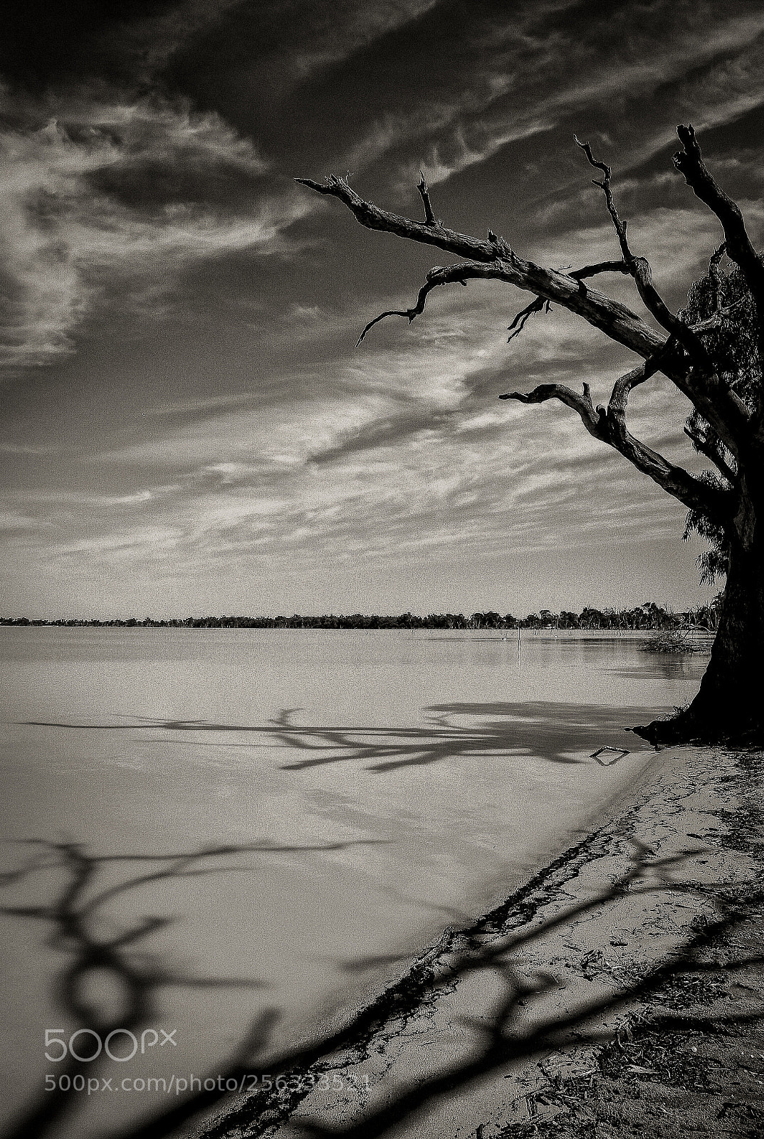 Canon EOS 6D sample photo. Shadows photography