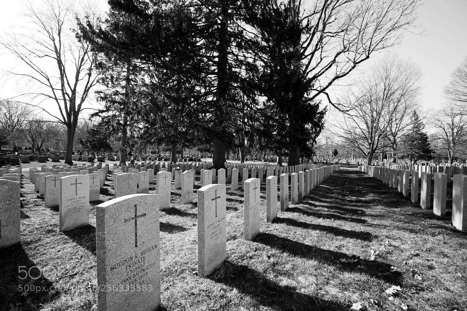 Canon EOS 30D sample photo. Row on row photography