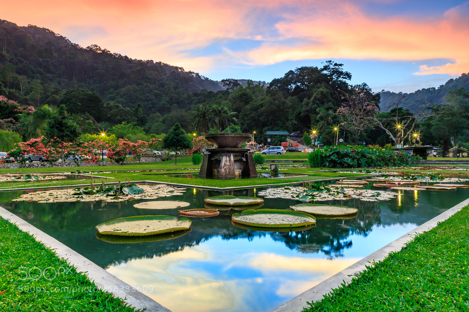 Canon EOS 6D Mark II sample photo. An amazonian sunset in photography