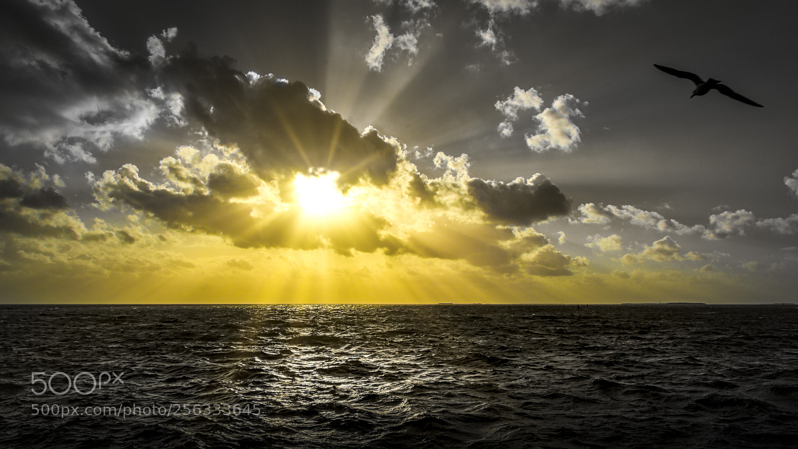 Nikon D7100 sample photo. 5486- sunset photography