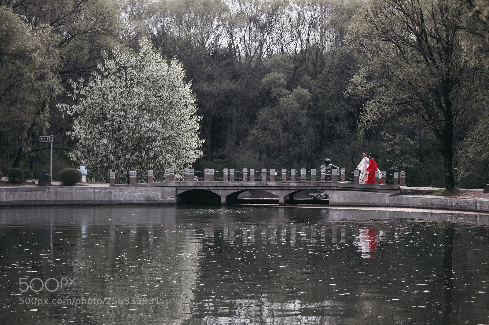 Nikon D700 sample photo. Untitled photography