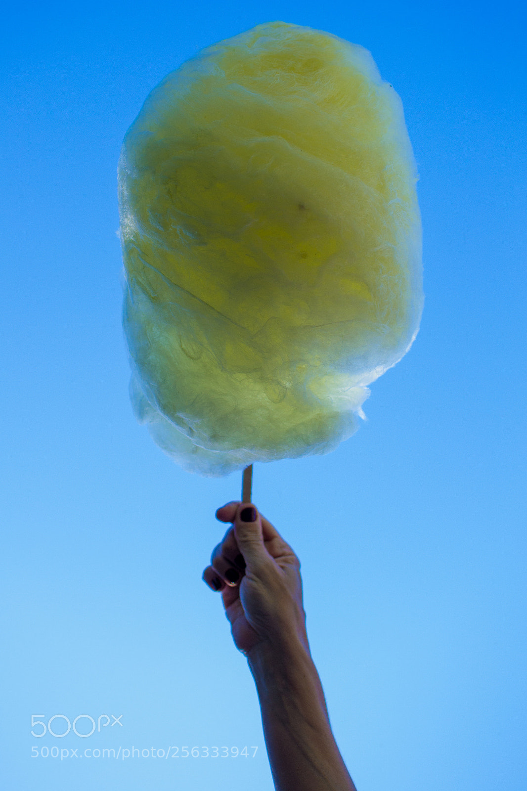 Nikon D3100 sample photo. Majestic photography