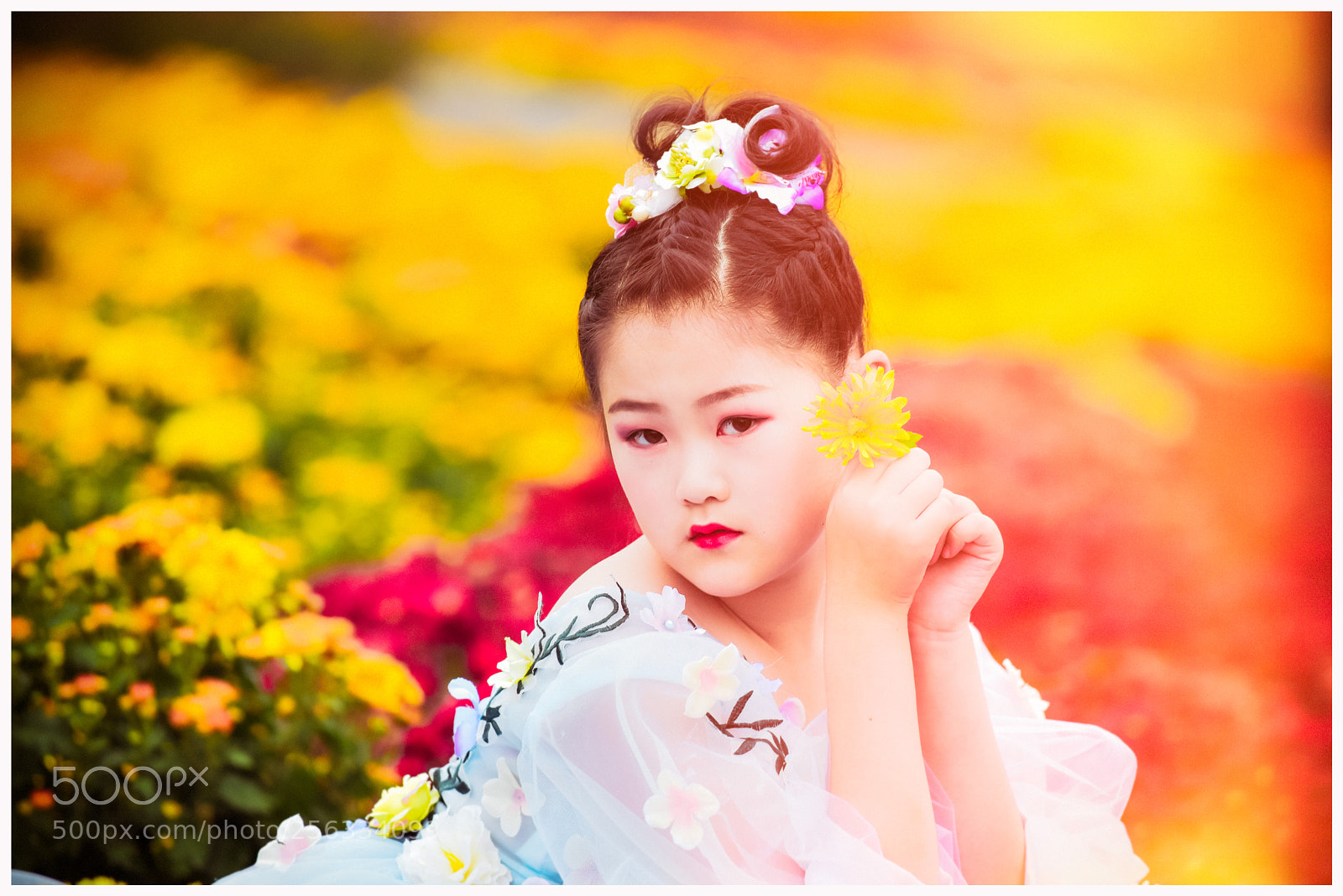 Nikon D750 sample photo. Untitled photography