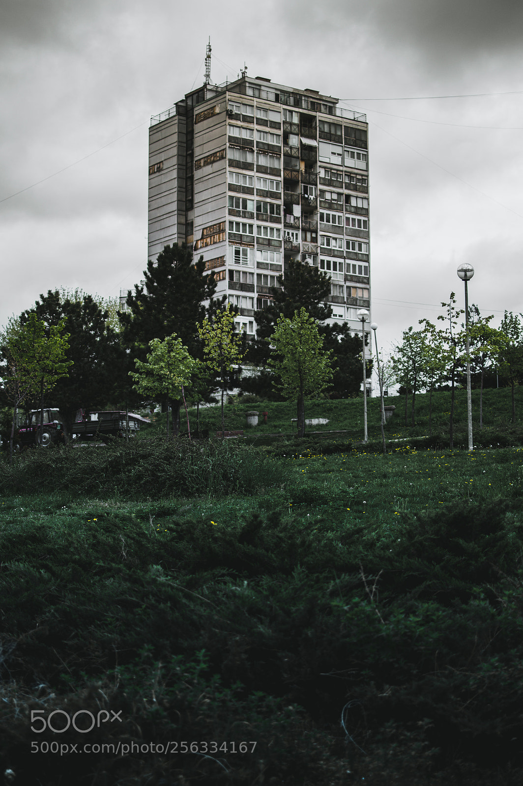 Nikon D3200 sample photo. The not so much photography