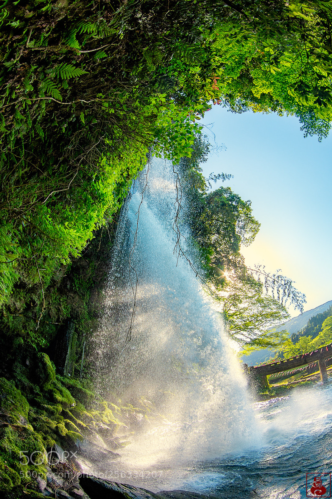 Nikon D610 sample photo. Jion fall photography