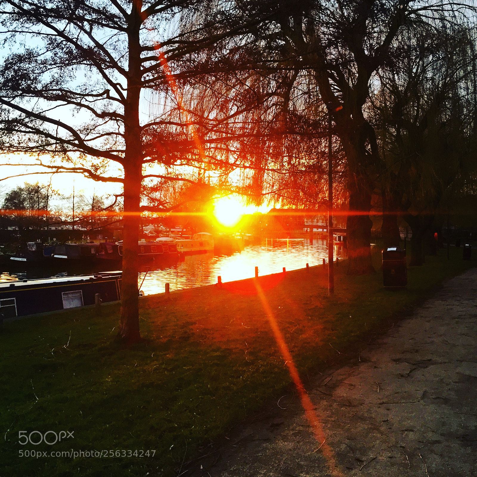 Apple iPhone 6 sample photo. Ely, cambridgeshire photography