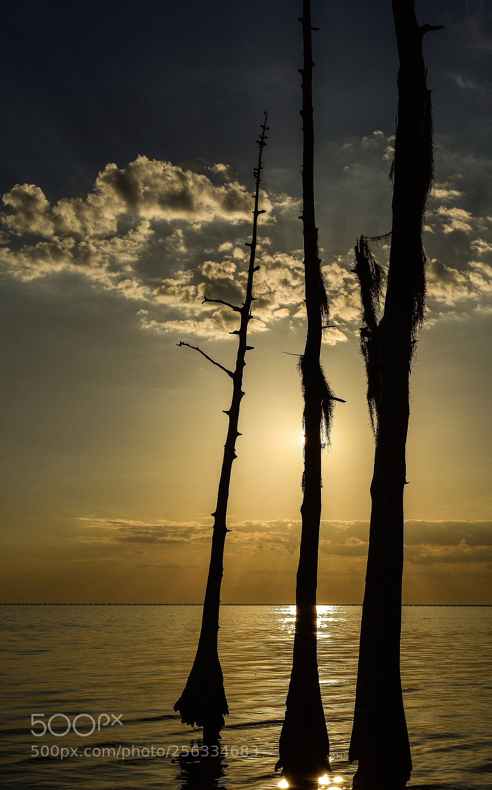 Nikon D7100 sample photo. Sunset on lake pontchartrain  photography