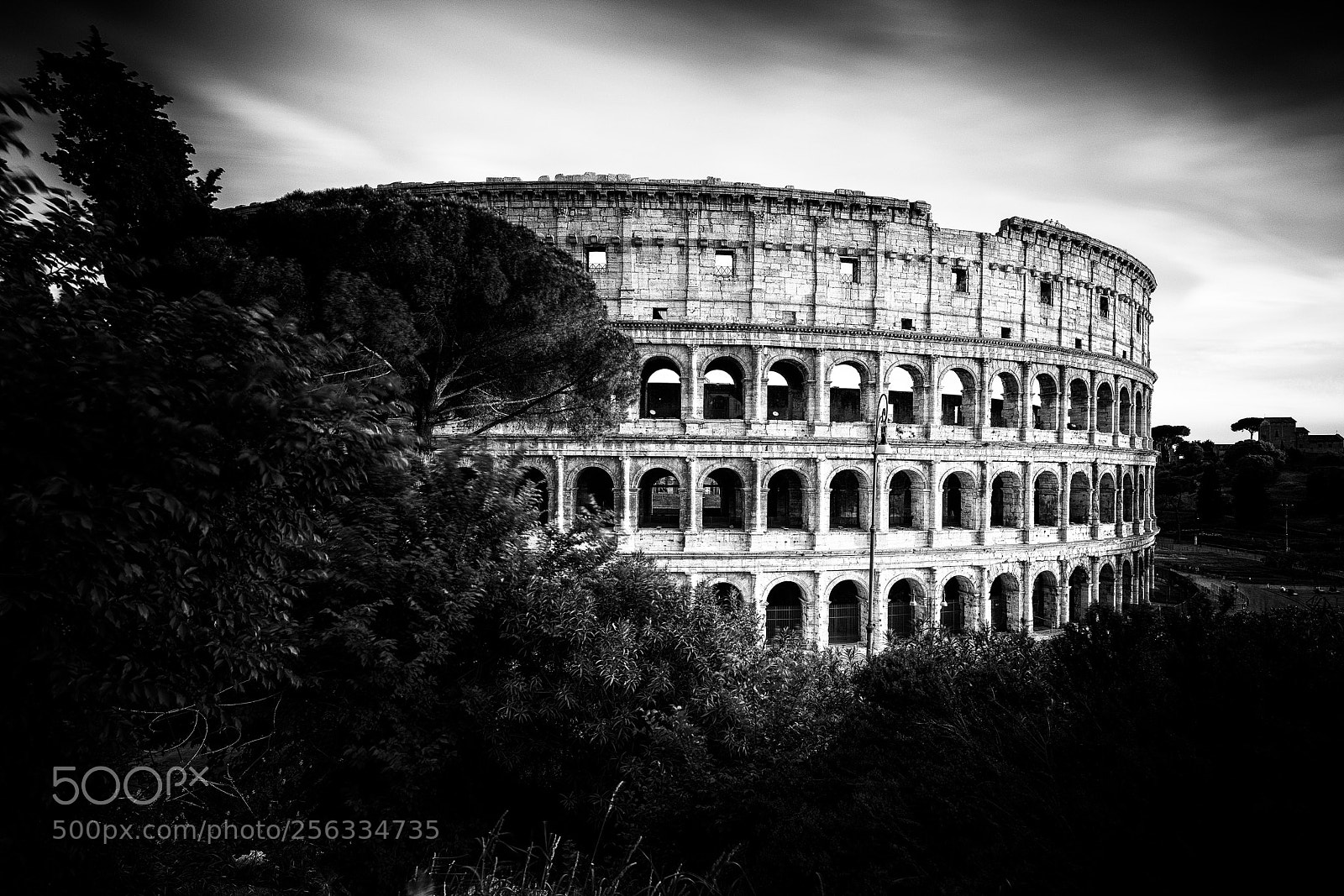 Nikon D850 sample photo. Colloseo photography