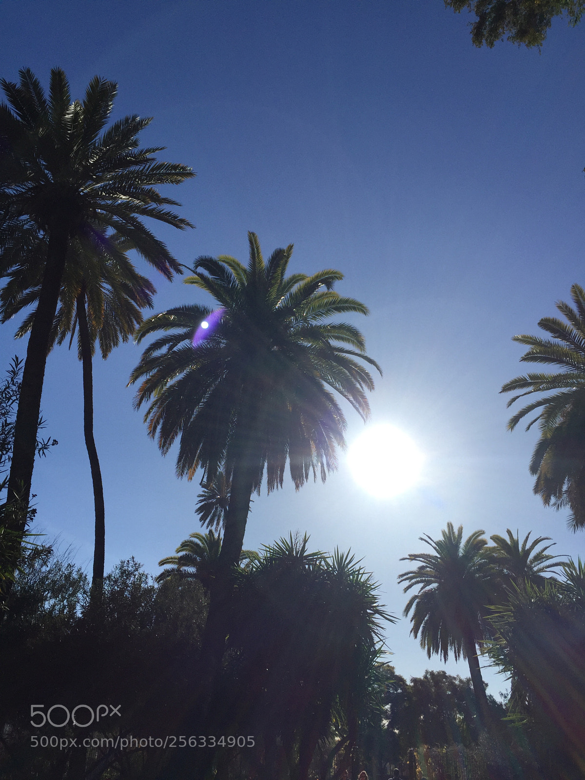 Apple iPhone 6 sample photo. Seville, spain photography