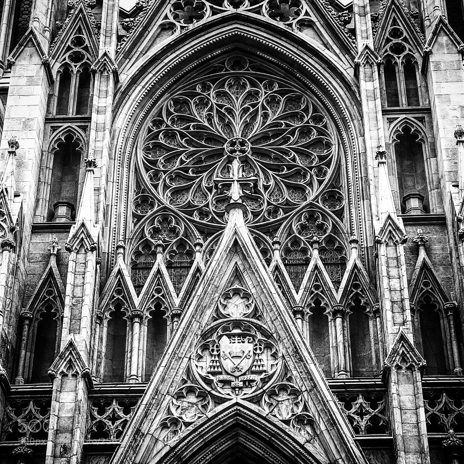 Apple iPhone 7 Plus sample photo. St. patrick’s cathedral photography