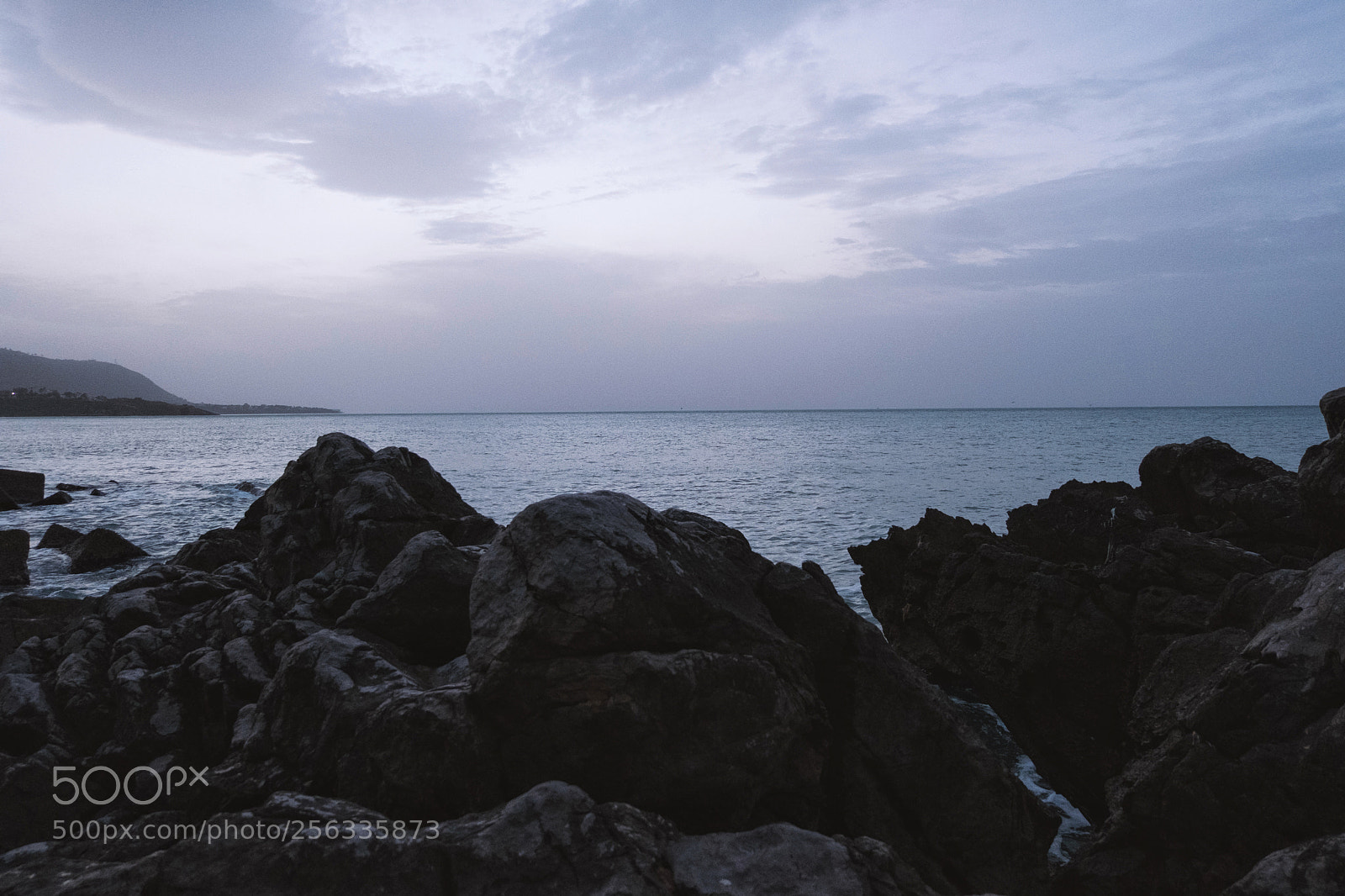Fujifilm X-T20 sample photo. Untitled photography