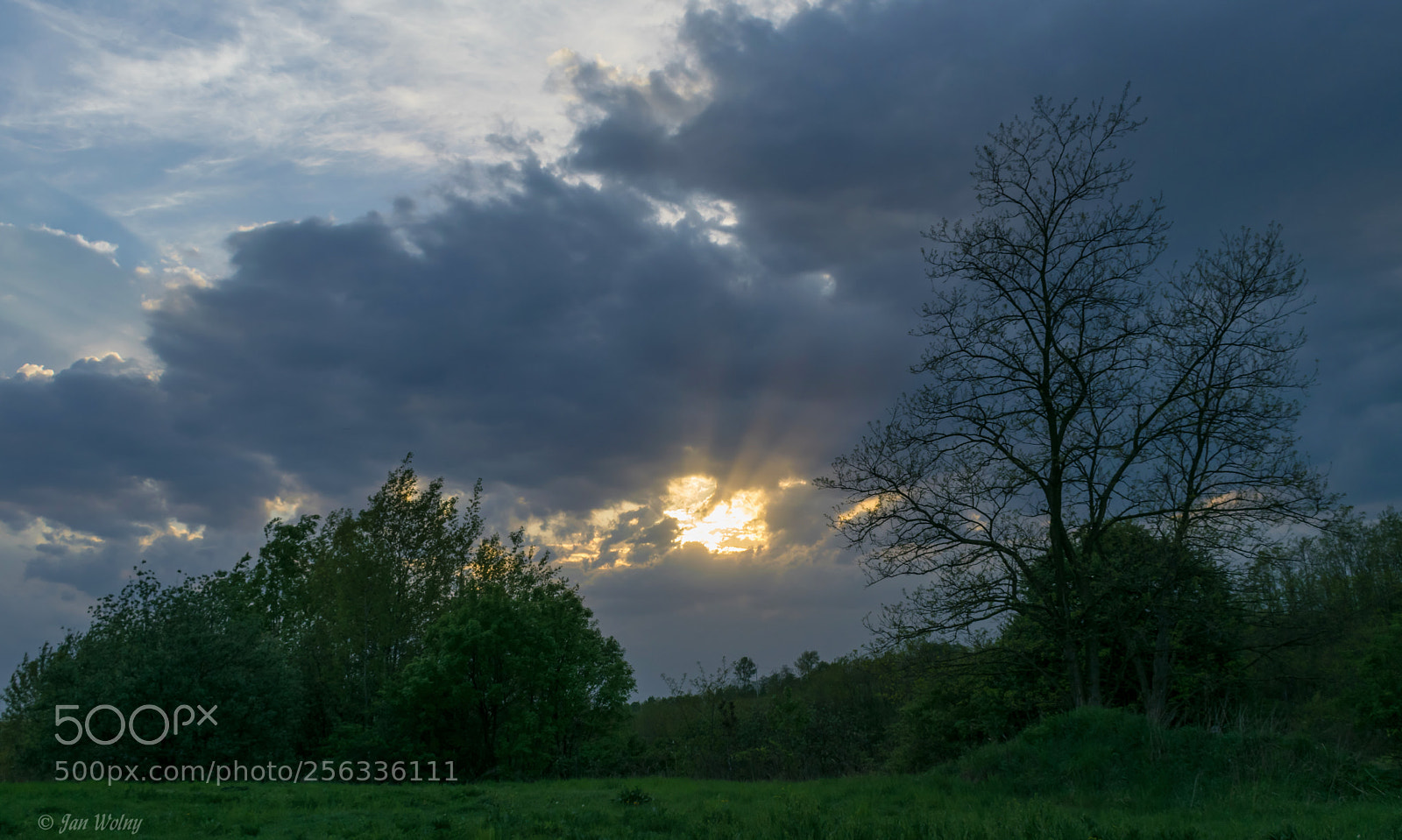 Nikon D3300 sample photo. Under the colourful sky photography