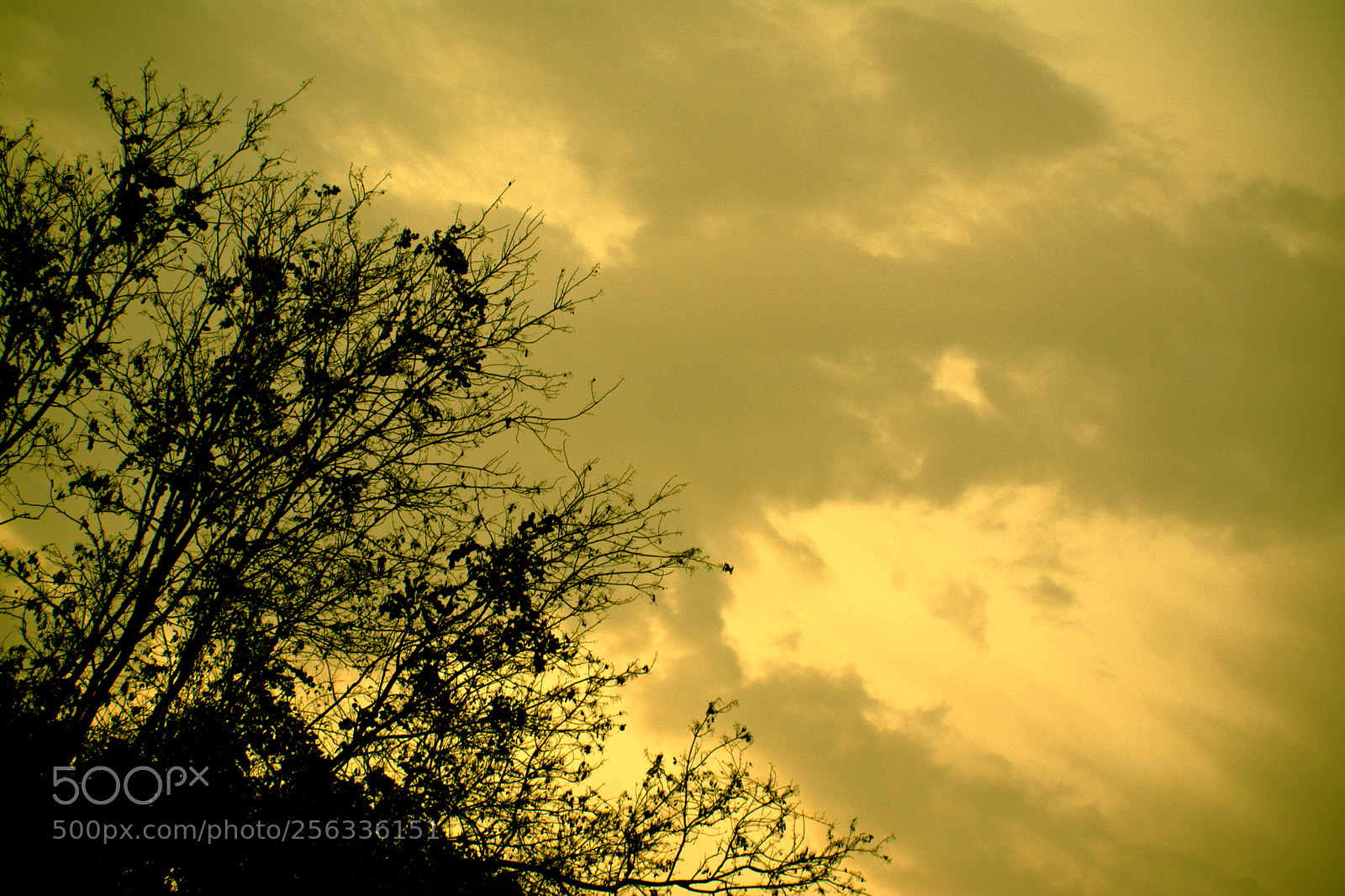 Nikon D5200 sample photo. Calm before storm photography