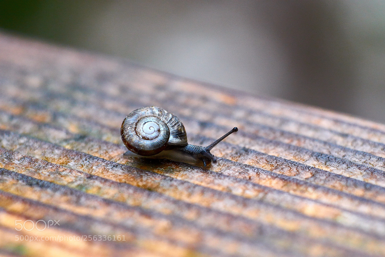 Sony a6000 sample photo. Dsc03018_1.jpg photography