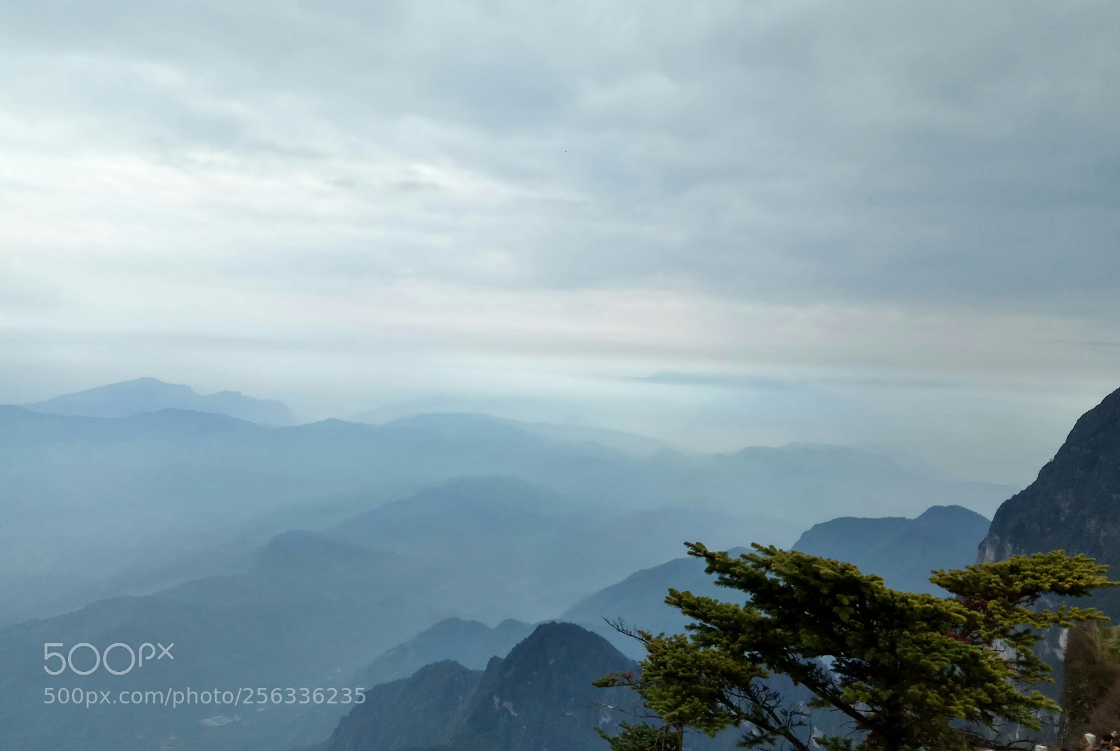 Xiaomi Redmi Note 4 sample photo. Untitled photography