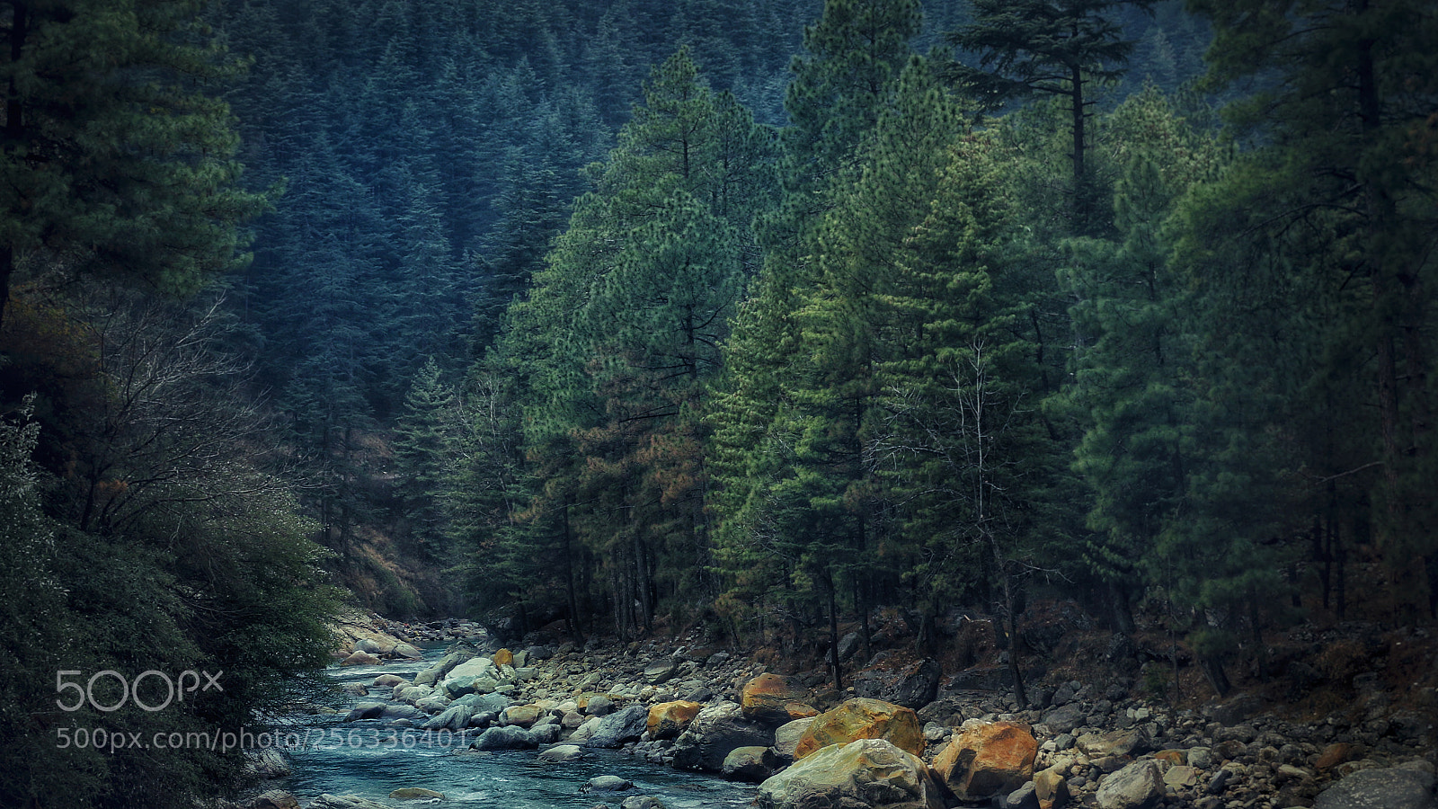 Canon EOS 70D sample photo. River side photography