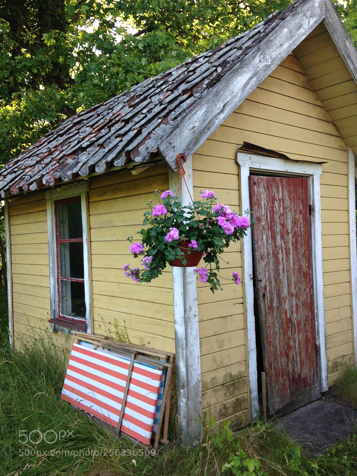 Apple iPhone 5c sample photo. Yellow shed photography