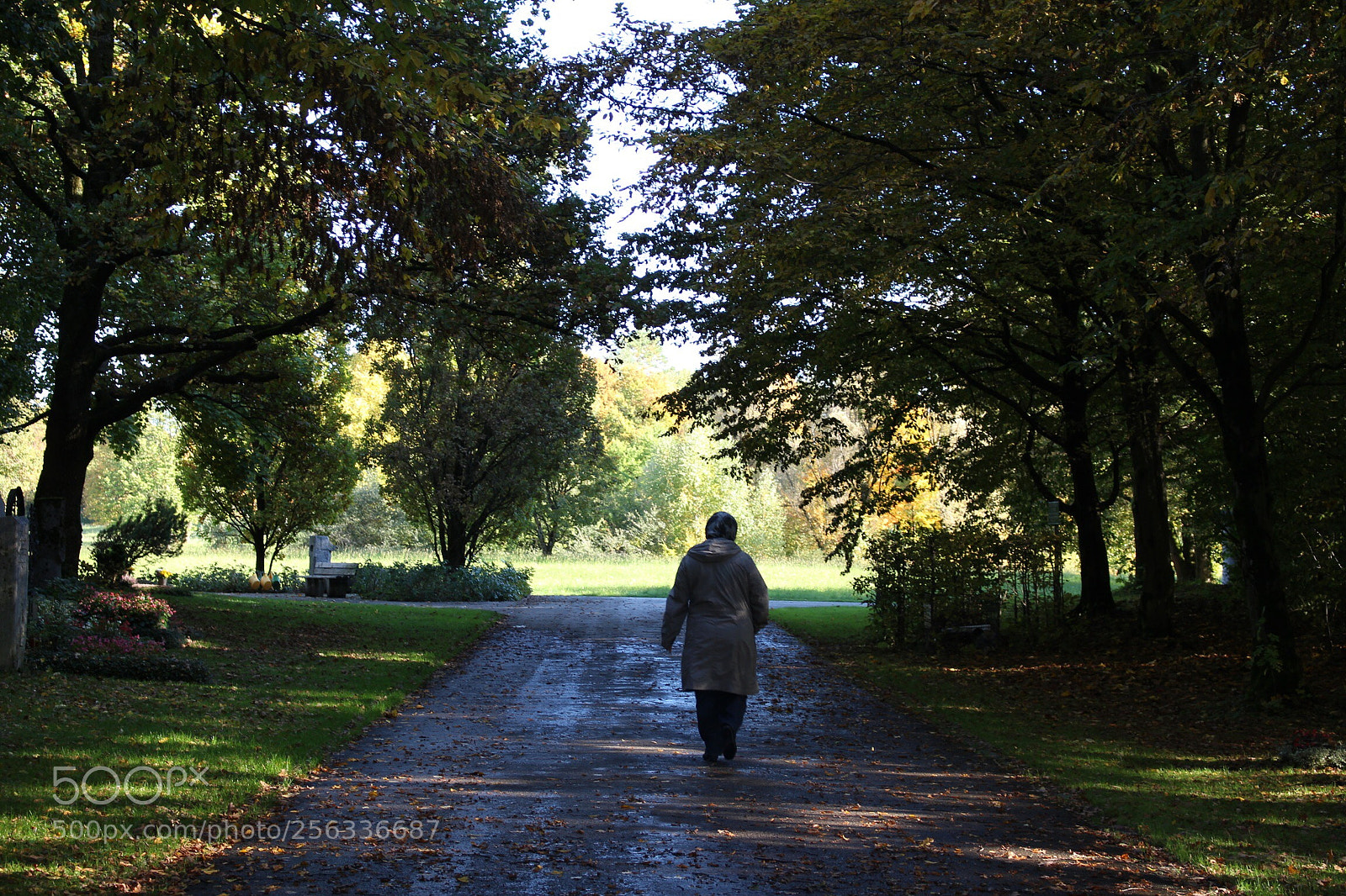 Canon EOS 700D (EOS Rebel T5i / EOS Kiss X7i) sample photo. Walk in the woods photography