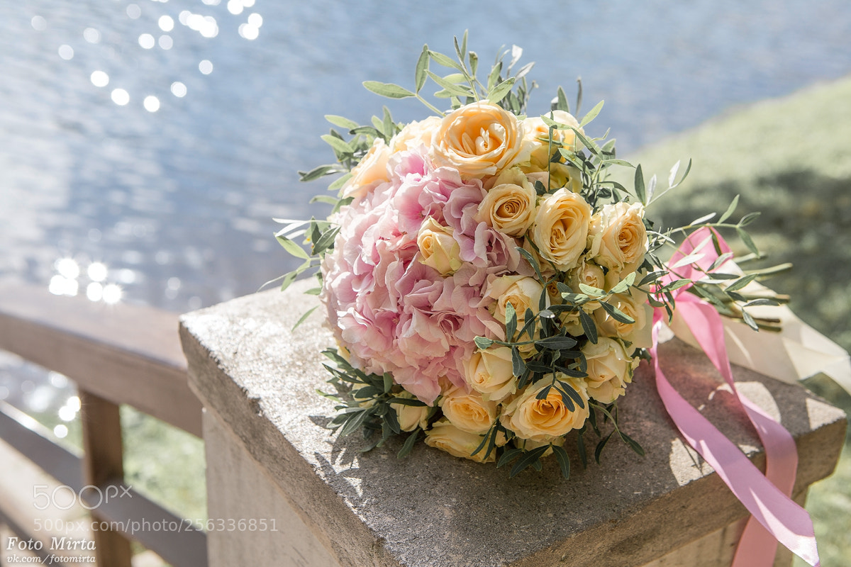 Canon EOS 6D sample photo. Свадебная фотосессия, фотосессия в Царицыно photography