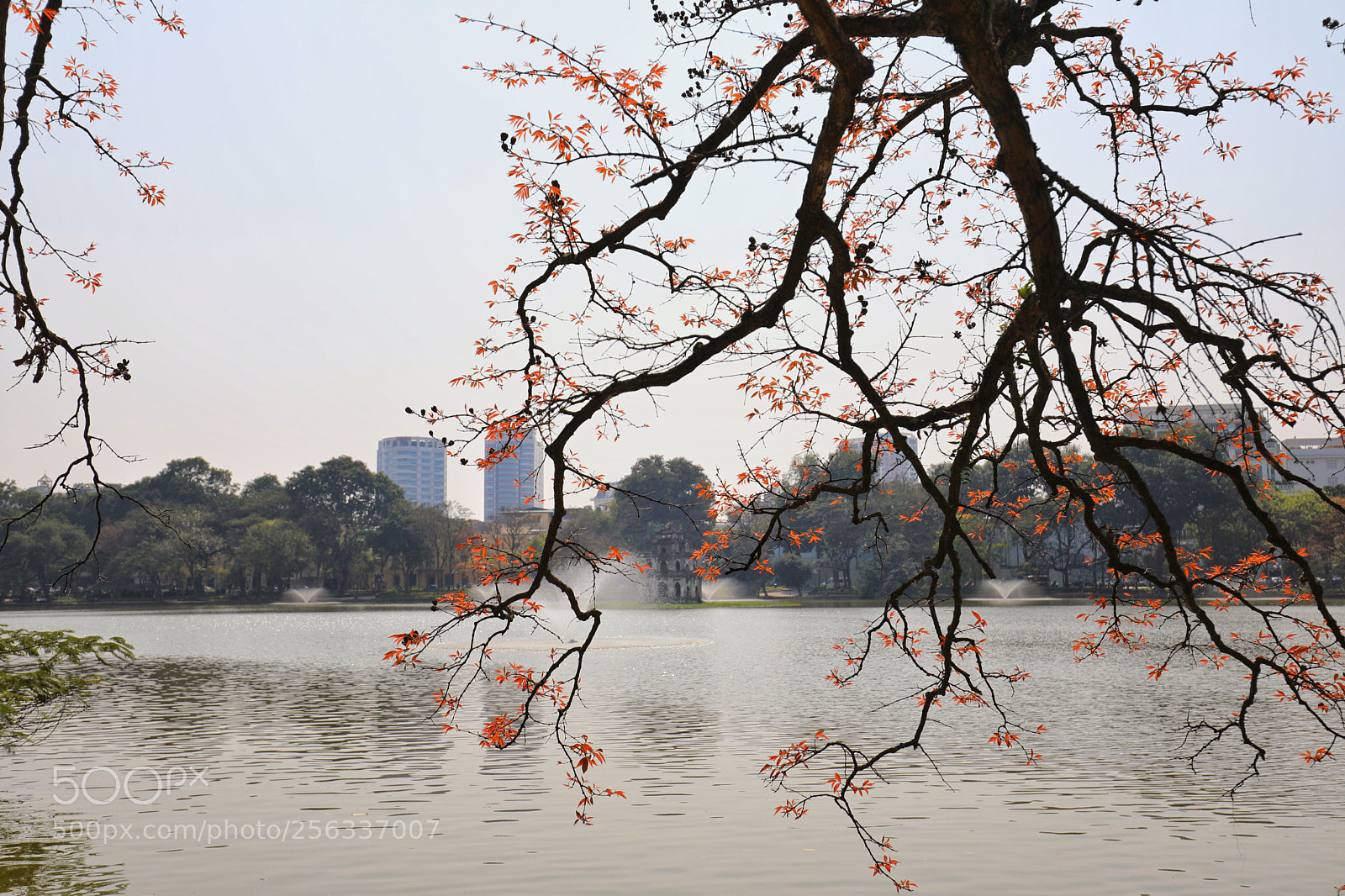 Canon EOS 5D Mark IV sample photo. Untitled photography