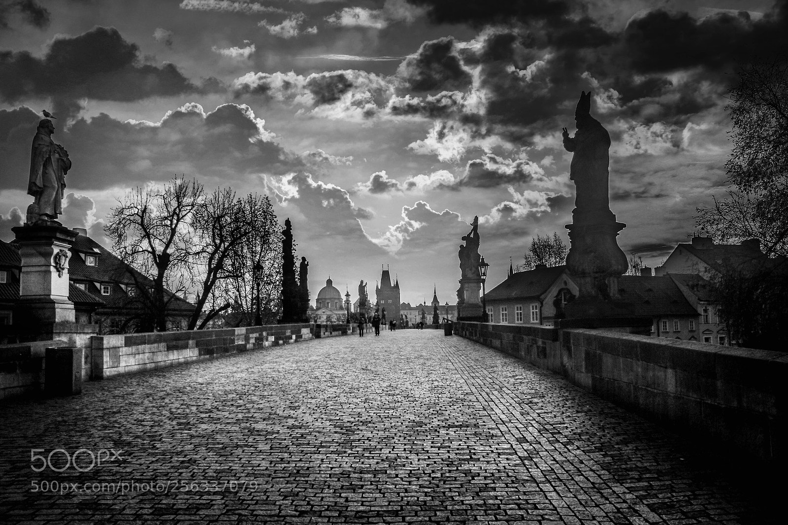 Canon EOS 550D (EOS Rebel T2i / EOS Kiss X4) sample photo. Charles bridge b&w photography
