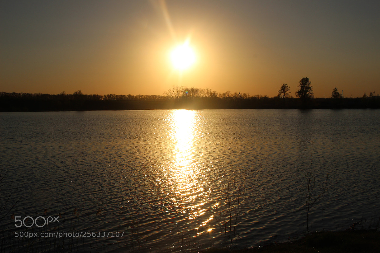 Canon EF-S 18-135mm F3.5-5.6 IS sample photo. Img photography