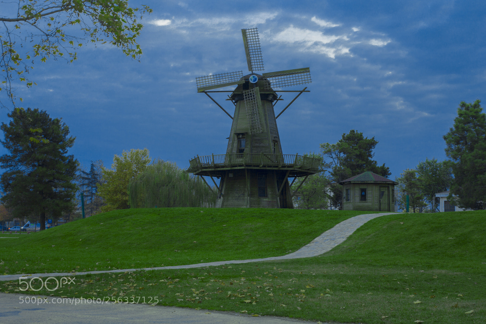 Canon EOS 5D Mark II sample photo. Mg photography